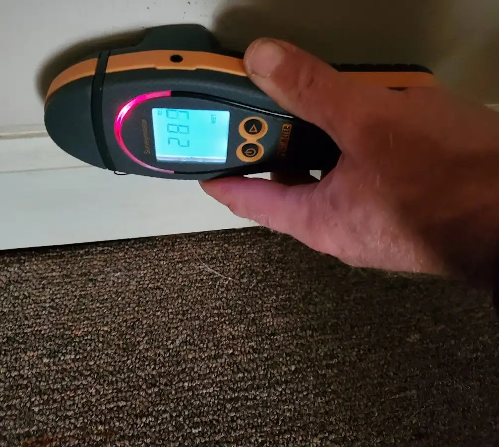 Moisture detection at baseboard during Mold Inspection & Testing in Severance
